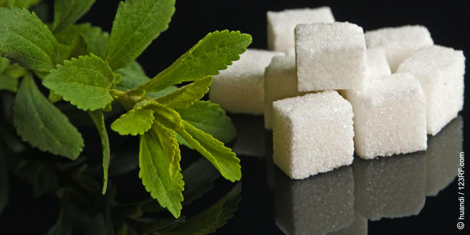 Stevia, der gesunde Zuckerersatz