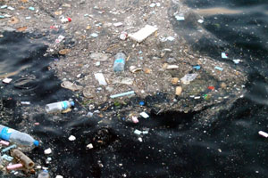 Verschmutzung der Meere mit Plastik