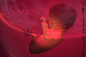 3D render Abbildung eines Embryos 