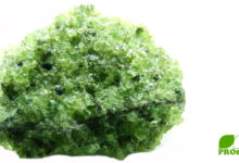 Olivin ist ein Edelstein, geboren aus Vulkanen